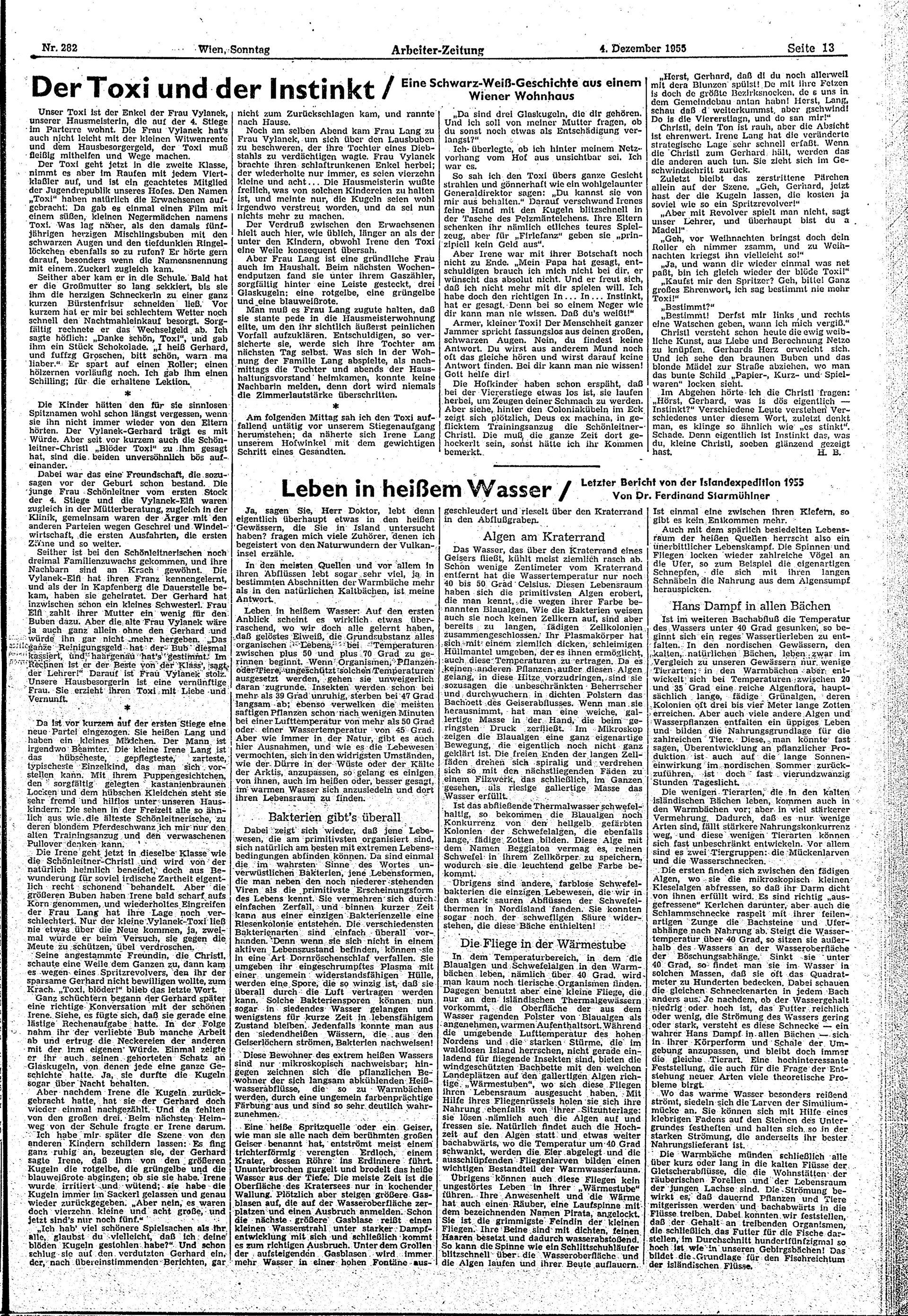 Ausgabe So. 04.12.1955, Seite 13