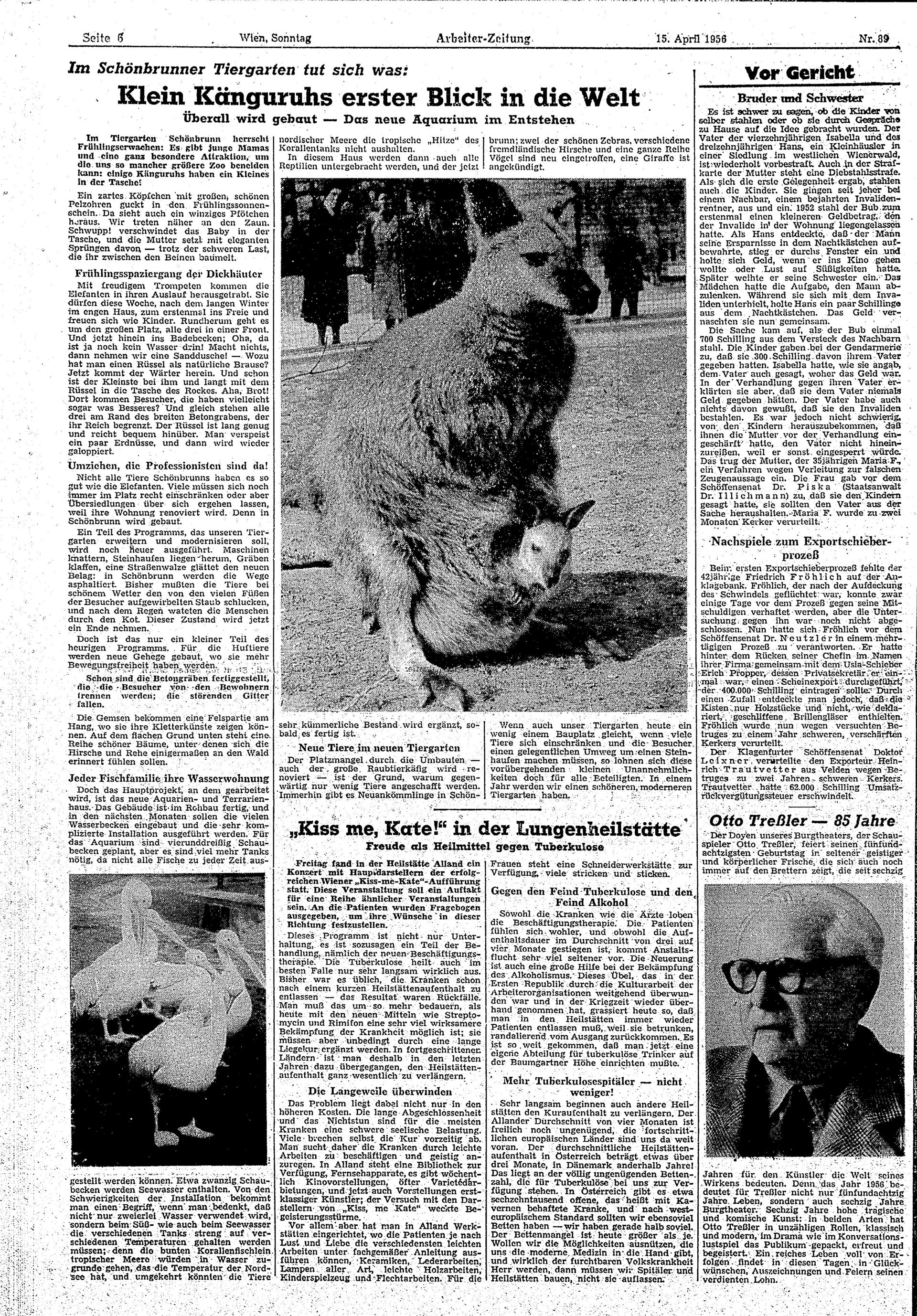 Ausgabe So. 15.04.1956, Seite 6