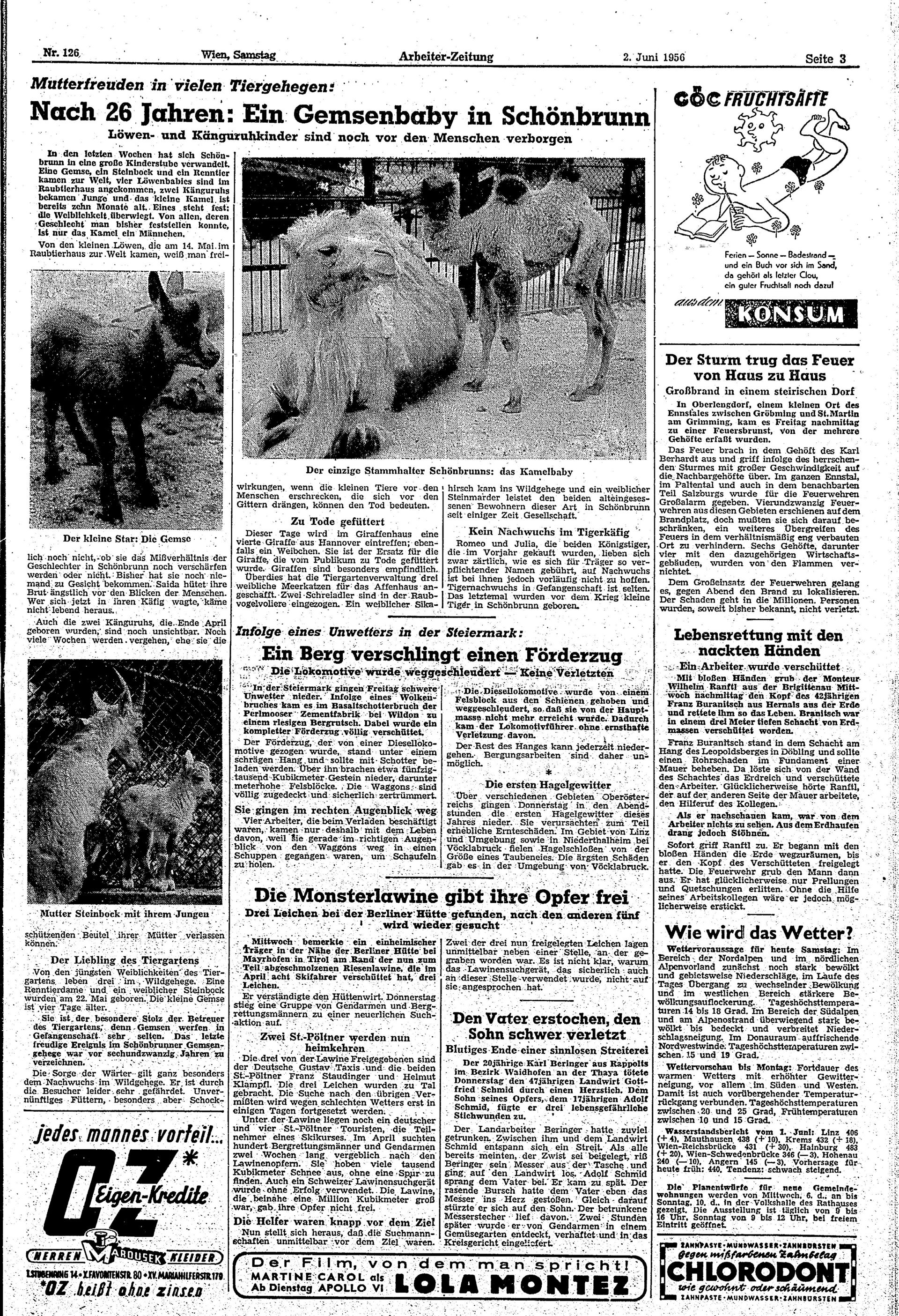 Ausgabe Sa. 02.06.1956, Seite 3
