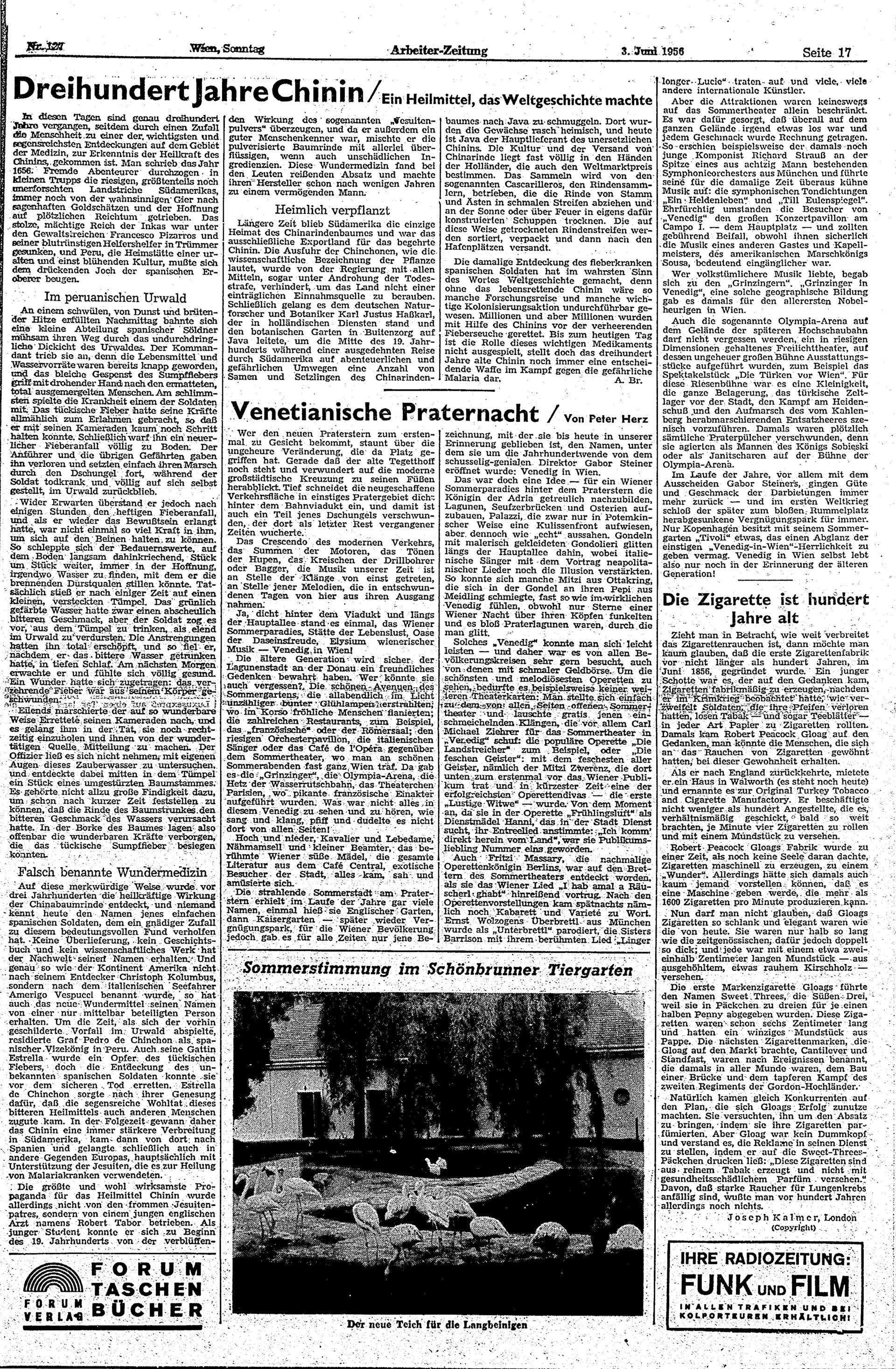 Ausgabe So. 03.06.1956, Seite 17