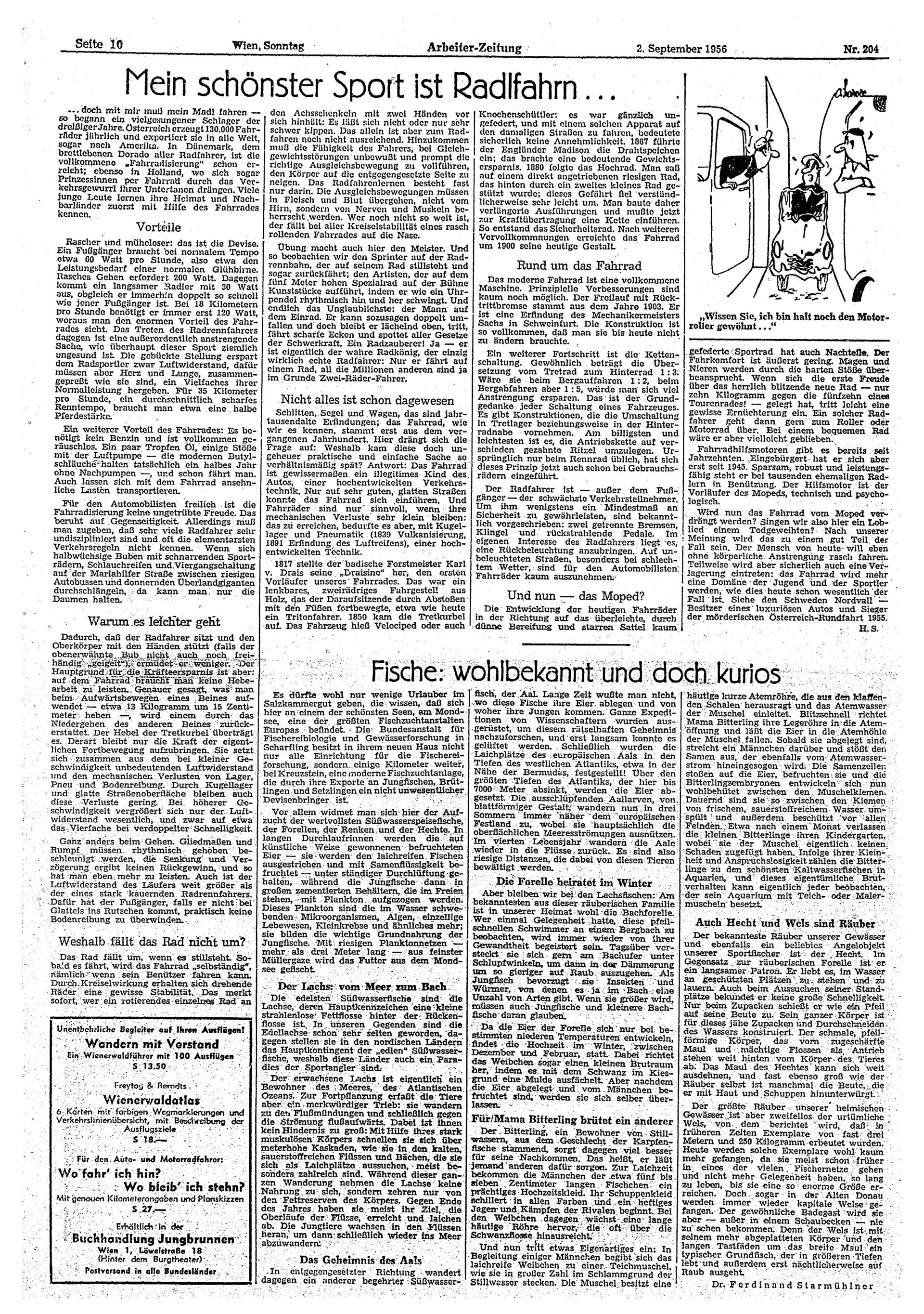 Ausgabe So. 02.09.1956, Seite 10