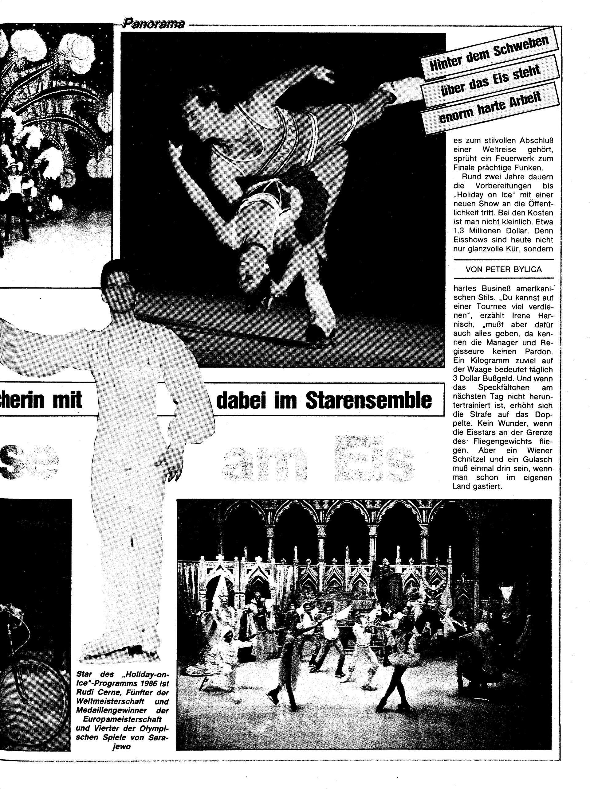 Ausgabe Mi. 08.01.1986, Seite 17