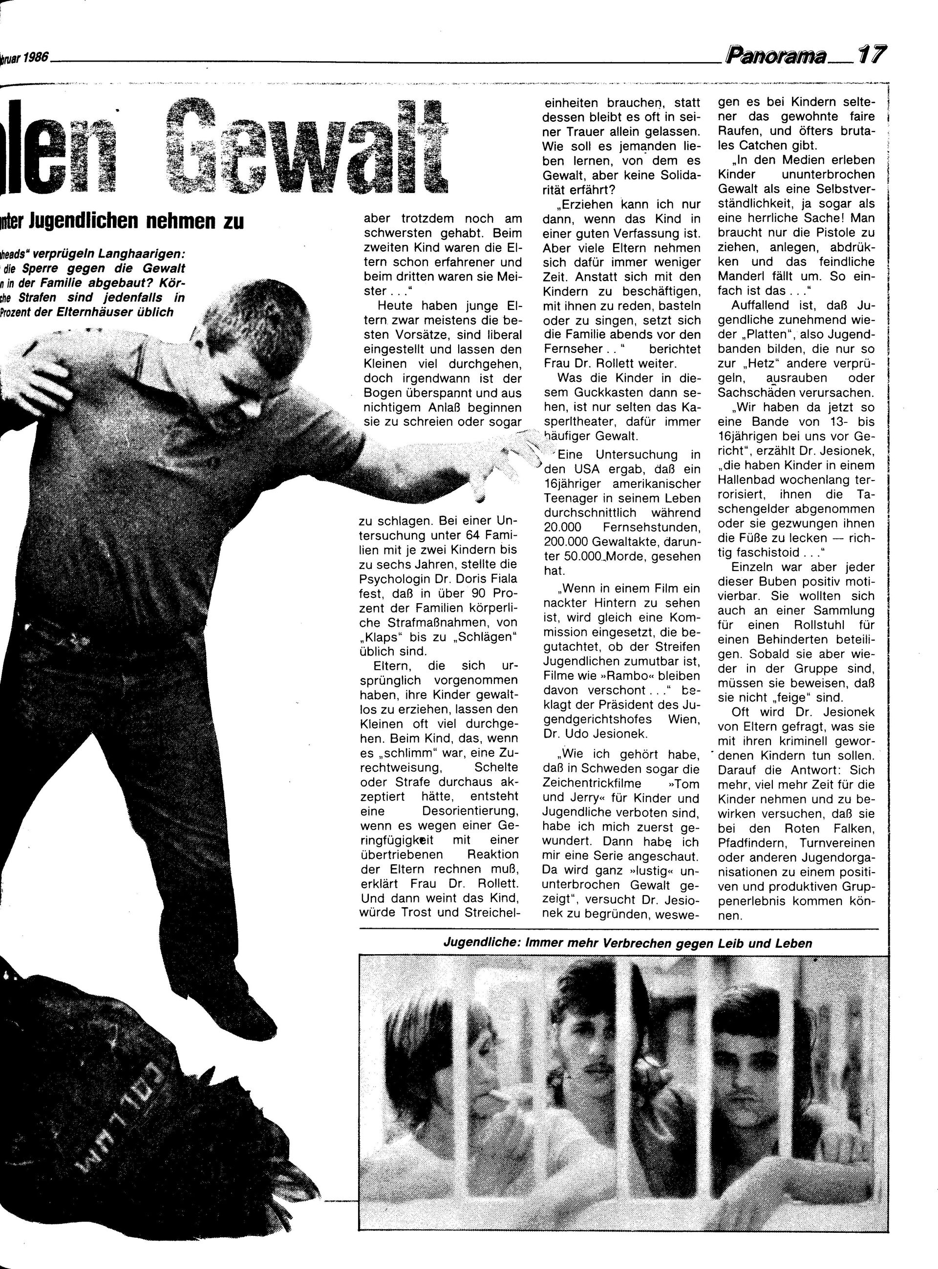 Ausgabe Di. 04.02.1986, Seite 17