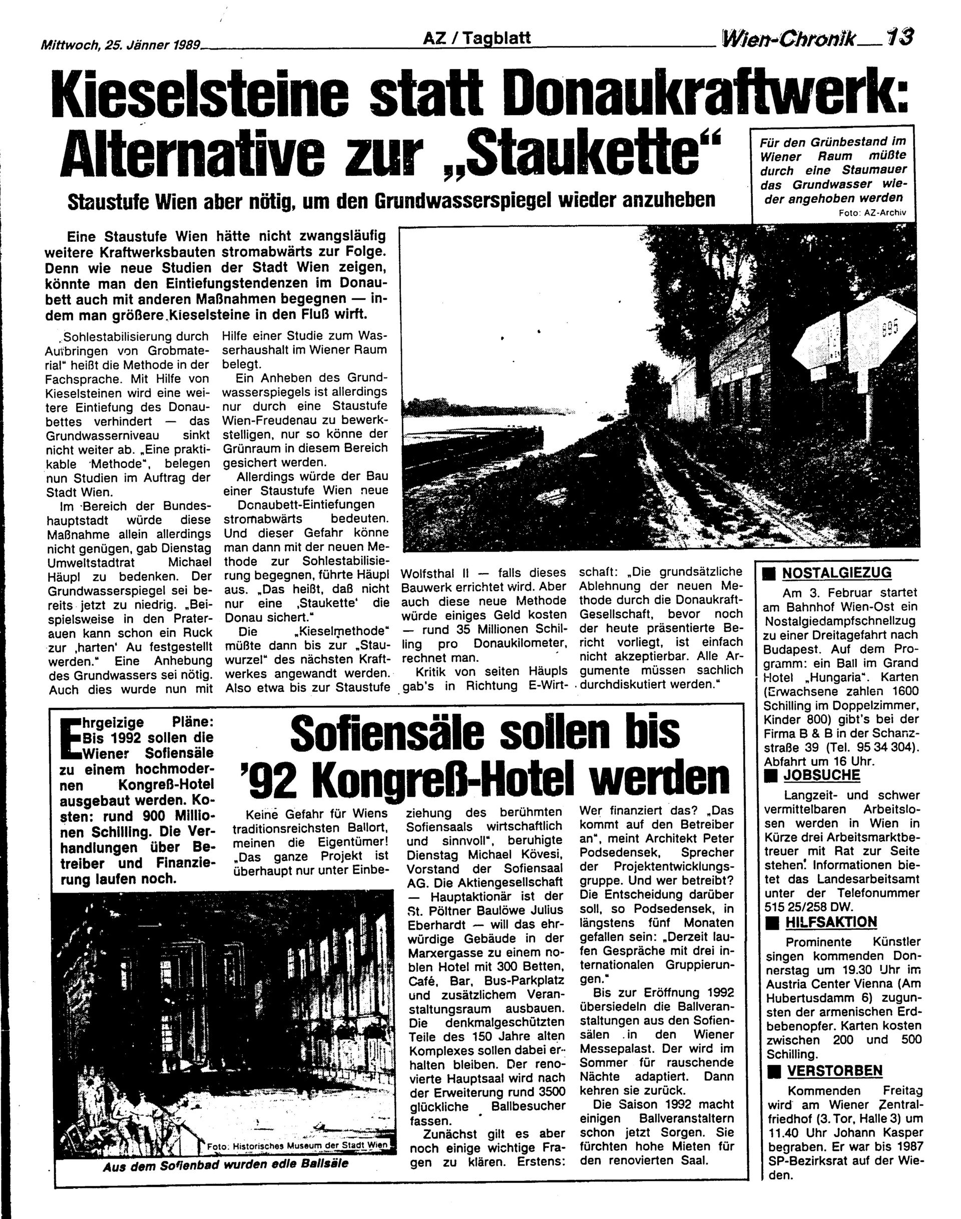 Ausgabe Mi. 25.01.1989, Seite 13